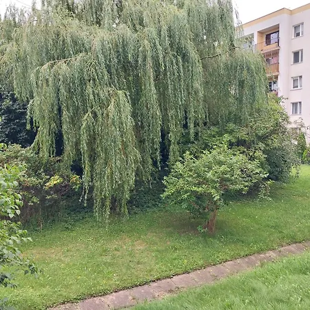 Apartment Willow Gdynia