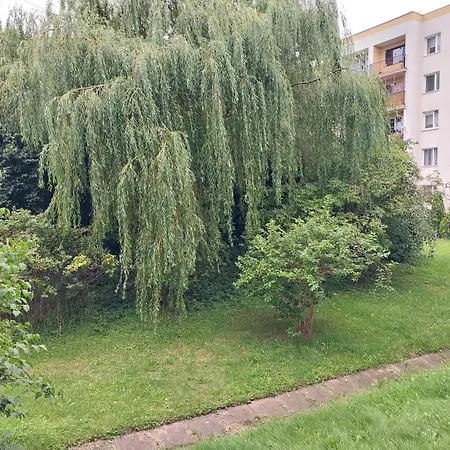 דירה Willow גדינייה