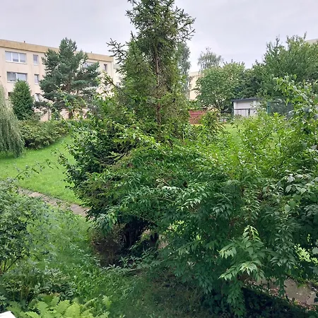 Willow דירה